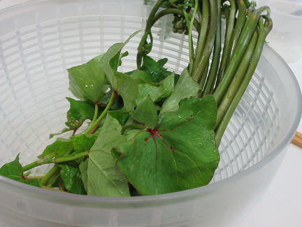 韃靼蕎麦を栽培中 葉っぱを天ぷらにしてみましたよ 野菜もりもり 地道にお弁当