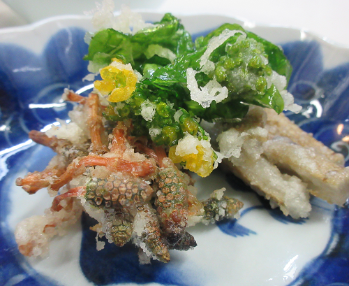 つくしの天ぷら 菜の花ご飯 気分華やぐ春の食卓 野菜もりもり 地道にお弁当