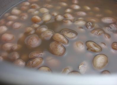 伯母からの宿題 桑の木豆を煮よう 野菜もりもり 地道にお弁当