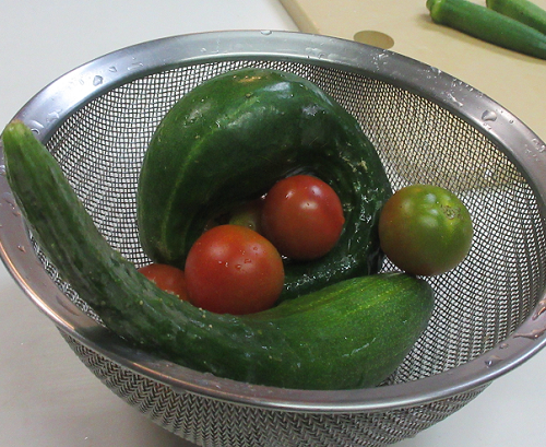 20190718 00012.png