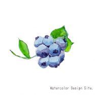 Blueberryss-187x187.jpg