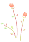 col36-thumbnail2.gif