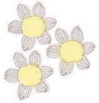 daisy2-thumbnail2.jpg